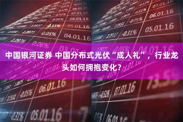 中国银河证券 中国分布式光伏“成人礼”，行业龙头如何拥抱变化？