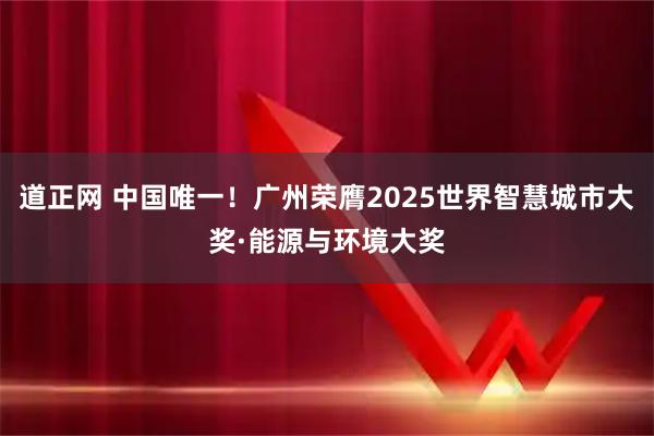 道正网 中国唯一!广州荣膺2025世界智慧城市大奖·能源与环境大奖
