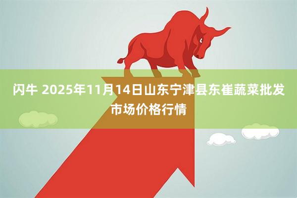 闪牛 2025年11月14日山东宁津县东崔蔬菜批发市场价格行情